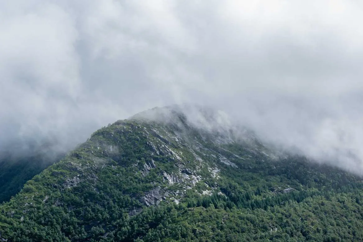 Forest valley covered in thick clouds